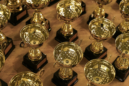 The photo presents a collection of gold trophy cups arranged for an awards ceremony or competition.