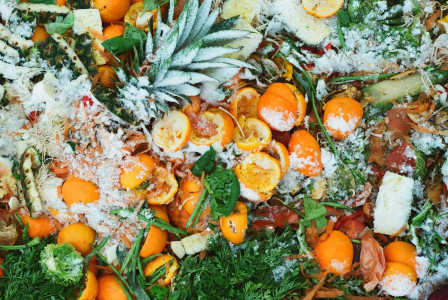 The photo presents discarded fruits, vegetables, and other organic food waste, symbolising food loss and waste.