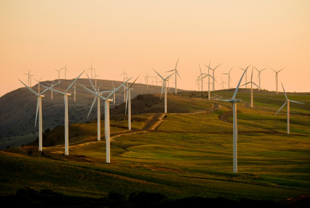 An illustrative photo of windmills on green field