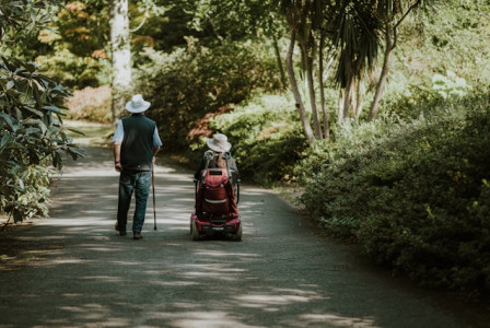 Photo by Unsplash An illustrative photo of two people walking through a lush garden or park.