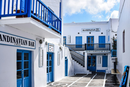 An illustrative photo of a brown pot with green plant on wooden bench