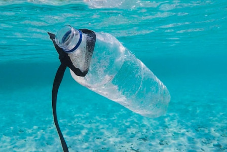Photo by Unsplash An illustrative photo of a bottle floating in water