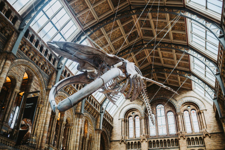 Photo by Unsplash An illustrative photo of a statue of a bird