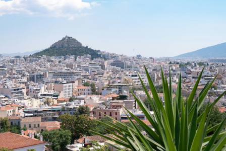Photo by Unsplash An illustrative photo of green palm tree near city buildings during daytime.