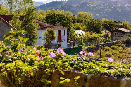 An illustrative photo of a garden with a house in the background