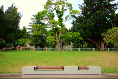 An illustrative photo of a bench situated in the middle of a park