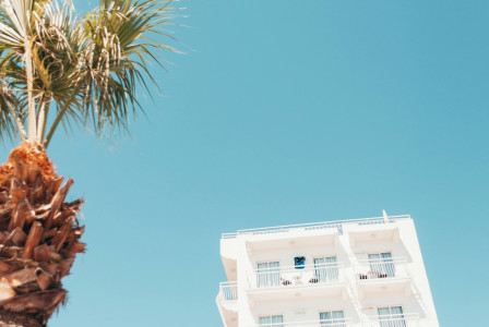 Photo by Unsplash An illustrative photo of a building and a palm under clear blue sky