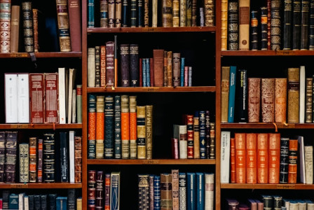 An illustrative photo of a variety of books on wooden shelves