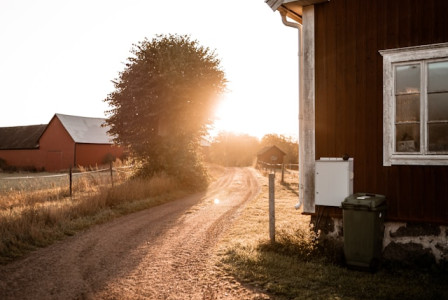 Photo by Unsplash An illustrative photo of sun rays streaming through houses during daytime