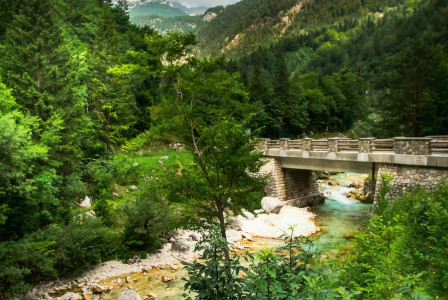 An illustrative photo of a bridge over a river