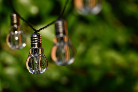 An illustrative photo of a collection of lightbulbs