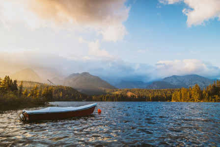 An illustrative photo of white boat on water near tree.