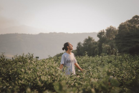An illustrative photo of a man standing alone in a vast field, surrounded by tall grass and open skies