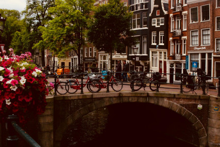 Photo by Pexels An illustrative photo of bicycles near bridge at daytime.