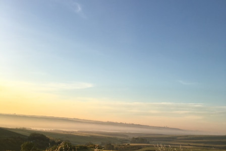 An illustrative photo of a vast green grass field stretches under a clear blue sky.