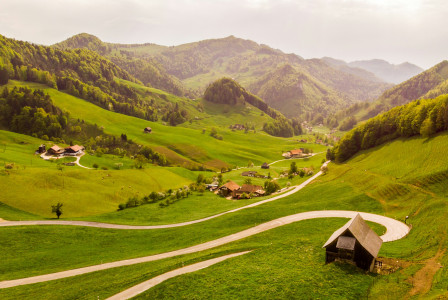 An illustrative photo of a house situated in a meadow