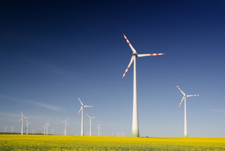 An illustrative photo of a wind farm with multiple wind turbines