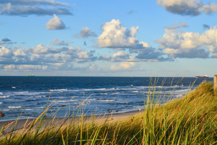 An illustrative photo of baltic sea beach.