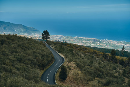 An illustrative photo of gray asphalt road between green grass field.