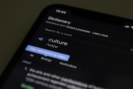 An illustrative photo of a cell phone displaying a dictionary app on its screen