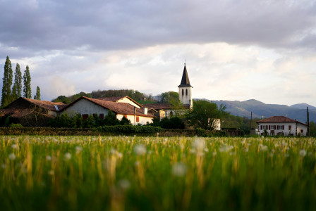 An illustrative photo of a green grass field and houses.
