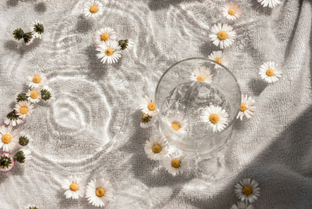 An illustrative photo of a clear glass bowl.