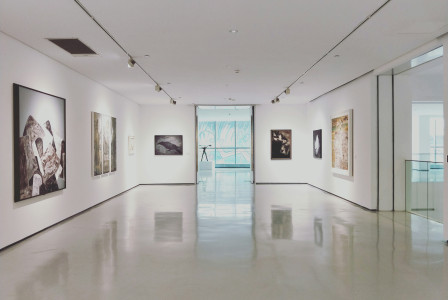 An illustrative photo of paintings on a wall.