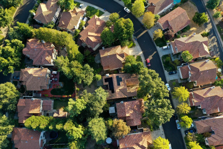 Photo by Pixabay An illustrative photo of a road between buildings with green trees in between