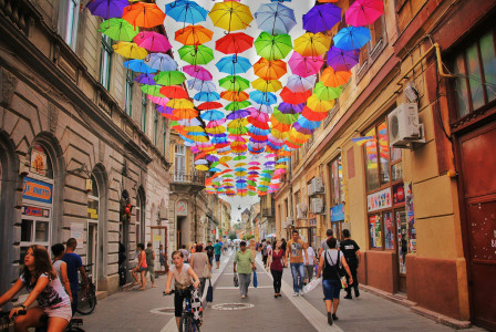An illustrative photo of assorted-color umbrellas hanging above a pathway