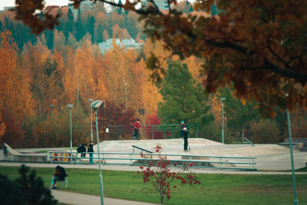 Photo by Unsplash An illustrative photo of an outdoor skatepark.
