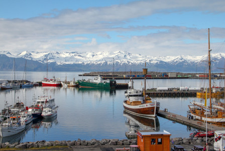 An illustrative photo of boats in port in Iceland with snowy mountains in the background