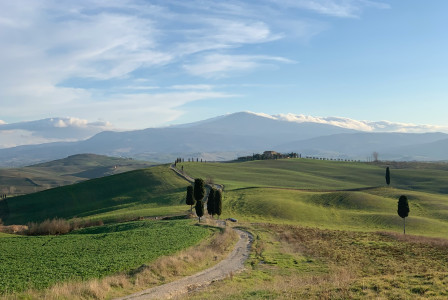 An illustrative photo of a green grass field.