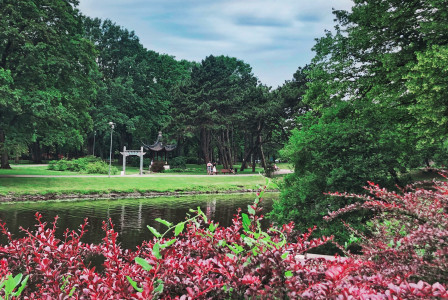 An illustrative photo of an arbor on grass near lake.