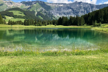 Photo by Unsplash An illustrative photo of a lake surrounded by pine trees.