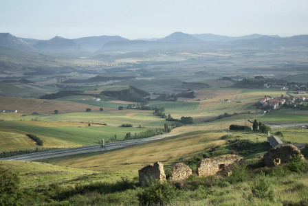 An illustrative photo of grass field.