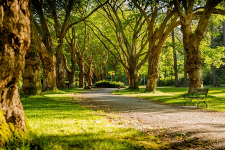 An illustrative photo of an empty park basks in the daylight