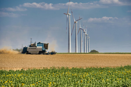 An illustrative photo of machine harvesting and wind turbines standing on the field under blue sky