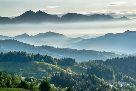 An illustrative photo of a mountainous valley with evergreen forest against a misty sky.