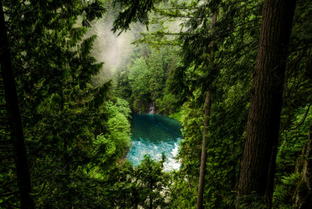 Photo by Pexels An illustrative photo of a body of water in a forest