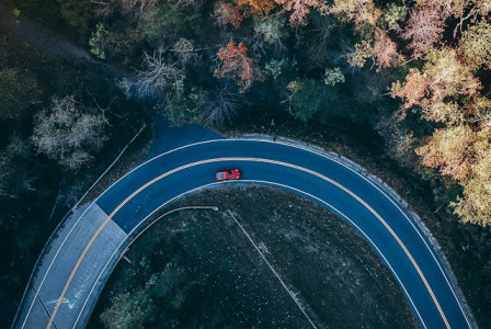 An illustrative photo of road through the forest