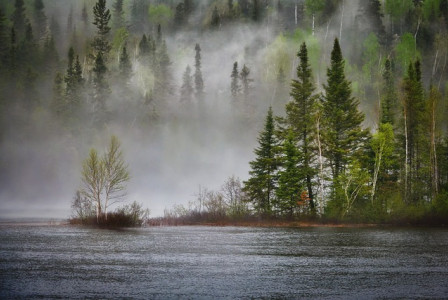 An illustrative photo of a river winding through a foggy forest