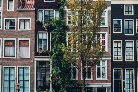 An illustrative photo of parked bicycles in front of buildings in Amsterdam