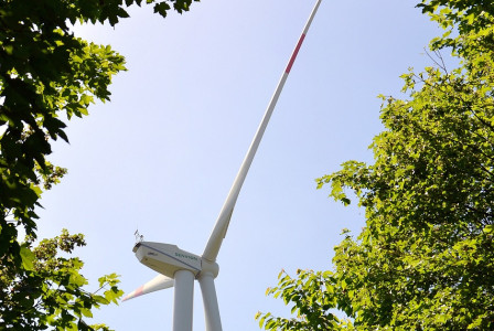 An illustrative photo of a windmill between trees