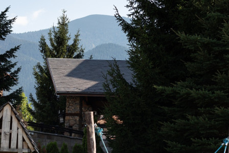 An illustrative photo of a woman working on a laptop