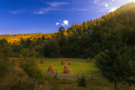 An illustrative photo of a field with hay bales in the middle of it