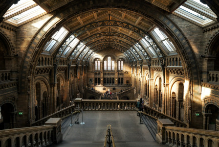 An illustrative photo of the Natural History Museum in London