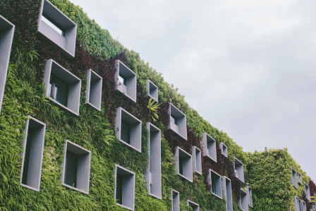 Photo by Unsplash An illustrative photo of a white concrete building with green plants on it