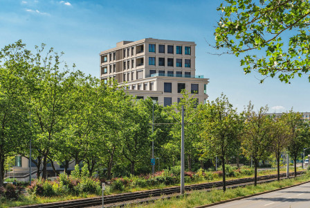 An illustrative photo of green trees with a building in the background