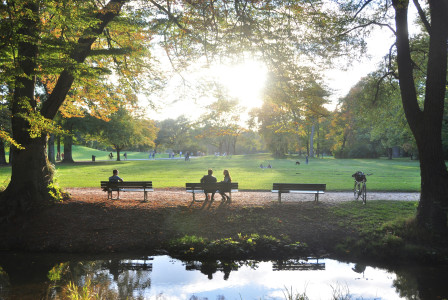 An illustrative photo of people sitting on benches in the park near the lake