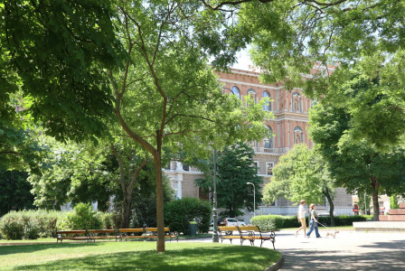 Photo by Unsplash An illustrative photo of a person walking a dog in a park